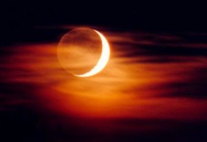 新月抱舊月 新月抱舊月