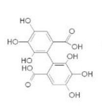 抗營養因子 抗營養因子
