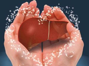 化學性肝損傷 化學性肝損傷