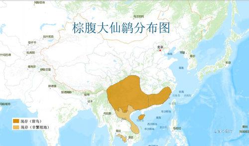 棕腹大仙鶲分布圖