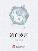 逃亡歲月 逃亡歲月