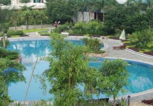 大唐金湯園 大唐金湯園