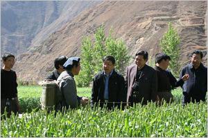 雙堰村[四川省成都市金堂縣清江鎮雙堰村]