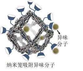 納米籠吸附技術 納米籠吸附技術