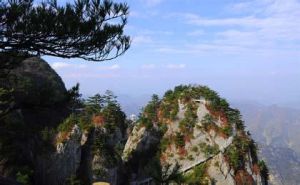 山陽縣天竺森林公園 山陽縣天竺森林公園