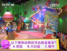 2011年-2013年11月26日智力快車