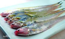 銅陵[安徽省地級市]