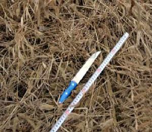 1·18任丘殺人案