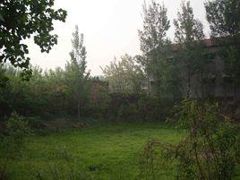 楊大寨村 楊大寨村