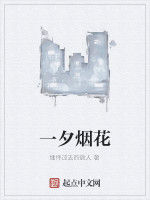 一夕煙花 一夕煙花