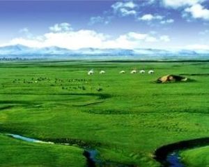 張北草原 張北草原
