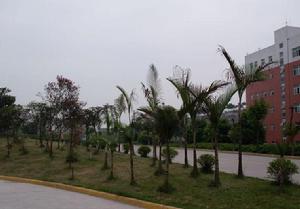 四川輕化工學院