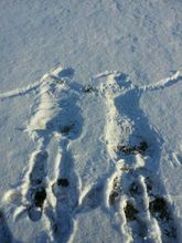 深藍心靈俱樂部雪花的記憶