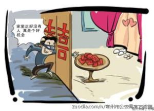 新婚恐盜症 新婚恐盜症