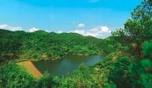 寶珠村[四川省廣元市蒼溪縣下轄鎮]