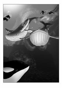 《鯨歌悠揚》插圖