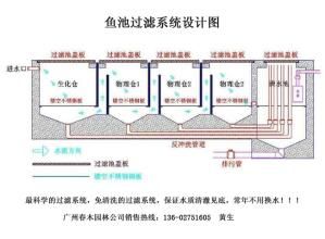 錦鯉魚池過濾系統 錦鯉魚池過濾系統