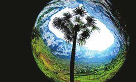 鎮雄天坑 鎮雄天坑