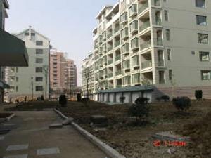 北景園菊香苑 北景園菊香苑