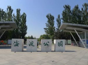 海淀公園 海淀公園
