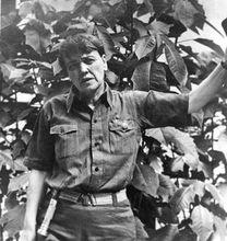 艾格尼絲·史沫特萊