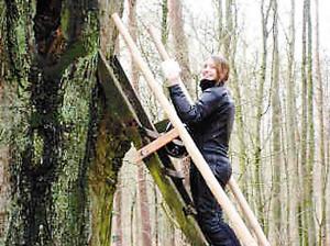 一女孩從新郎樹樹洞取信