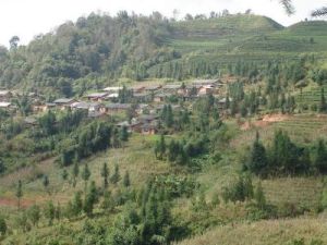 壩浪自然村 壩浪自然村