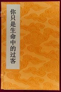 你只是生命中的過客