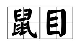 鼠目 鼠目