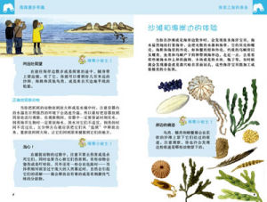 ：《體驗大自然：海灘漫步尋趣》