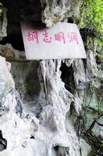 胡志明洞 胡志明洞