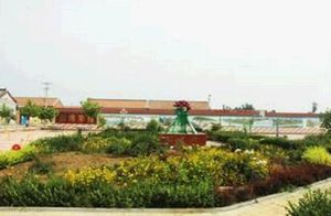 蓮花瓣村 蓮花瓣村