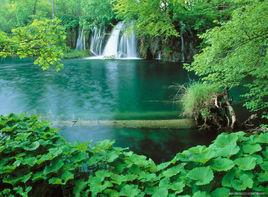 自然特徵 自然特徵