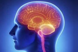 記憶恢復 記憶恢復