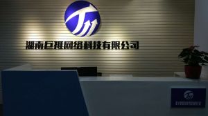 湖南巨推網路科技有限公司