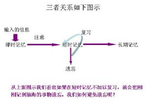 （圖）強有效的增強記憶
