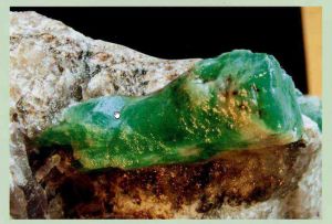 中國祖母綠麻栗坡