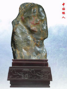 中國猿人 中國猿人