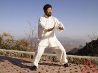 陳中華[陳式太極拳實用拳法海外掌門人]