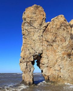 駱駝山海濱森林公園
