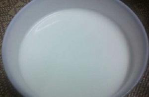 牛奶煮茯苓 牛奶煮茯苓