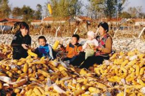 海洲鄉紀家村 海洲鄉紀家村