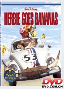 金龜車大鬧南美洲 金龜車大鬧南美洲