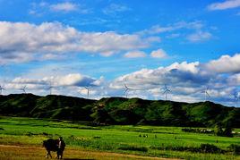雲頂草原 雲頂草原
