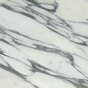 大花白-A1PA801002