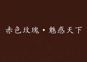 赤色玫瑰·魅惑天下