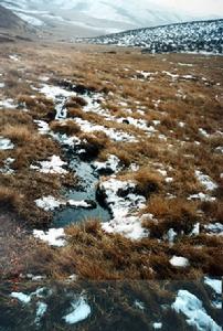 （圖）紅軍過草地