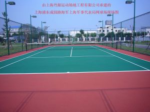 上海丹源運動場地工程有限公司