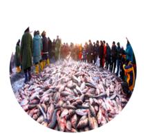 烏梁素海首屆冬季冰雪節