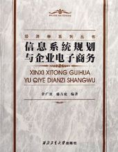 信息系統規劃與企業電子商務 信息系統規劃與企業電子商務